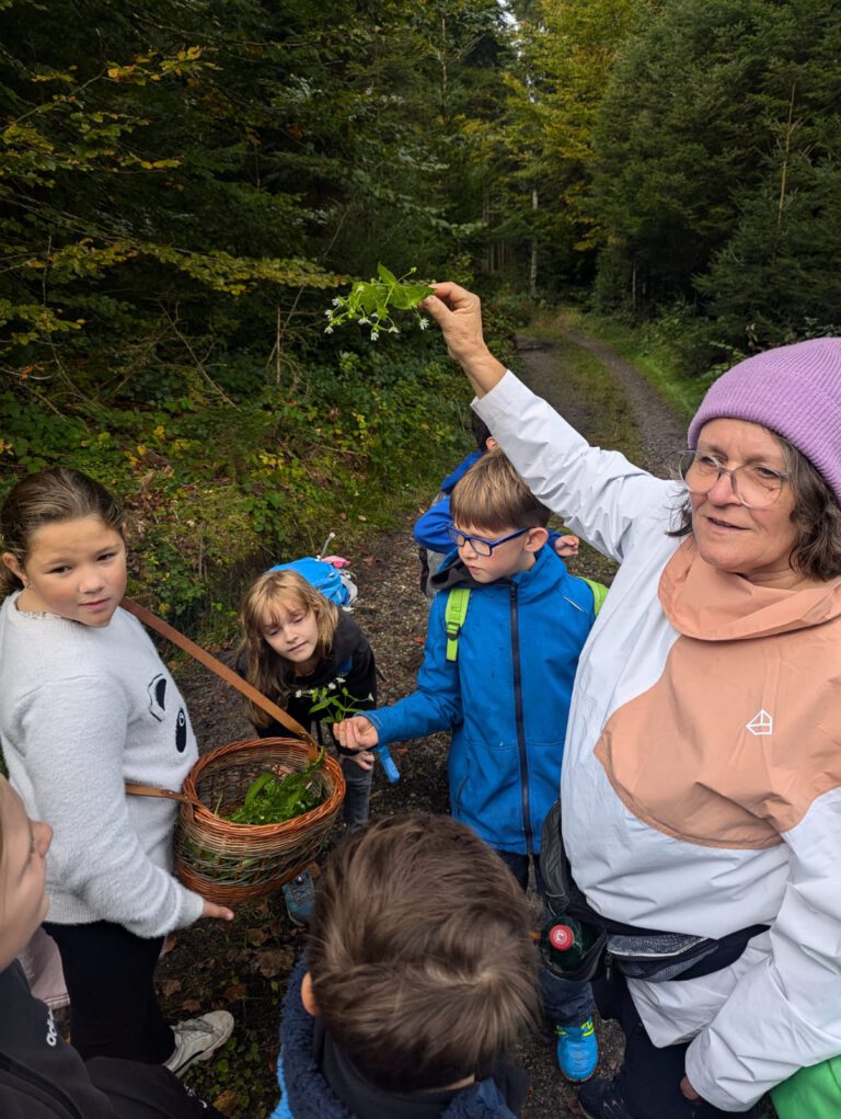 Kräuterwanderung mit Birgitta Haug 